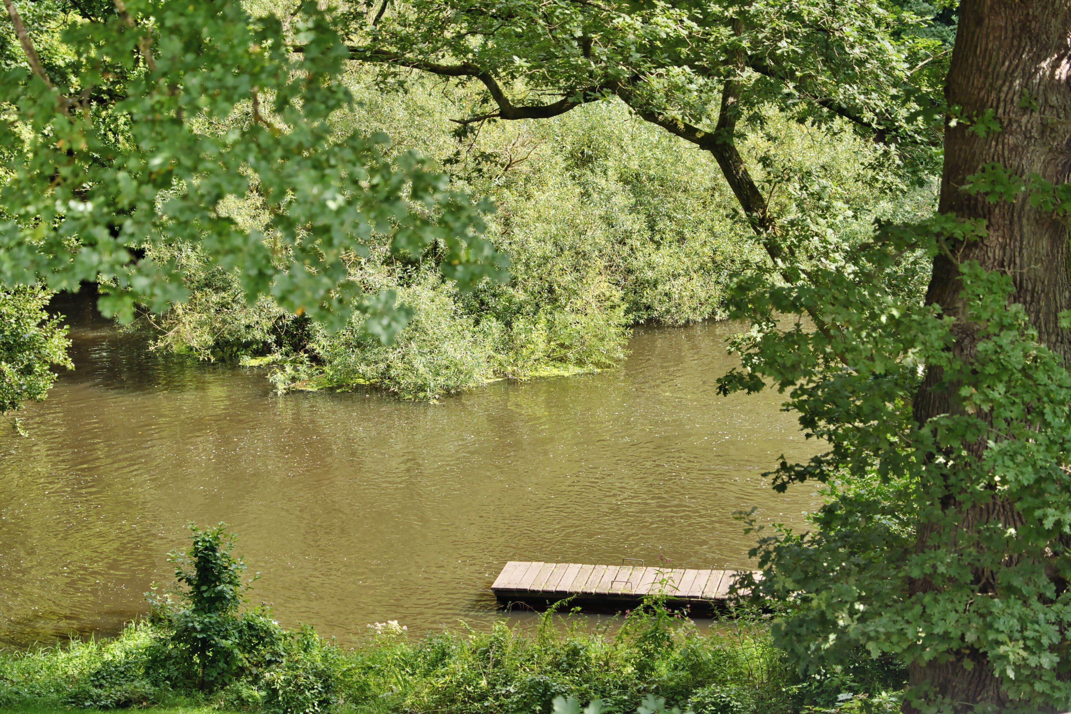 A river with a wooden dock, surrounded by dense greenery and trees.