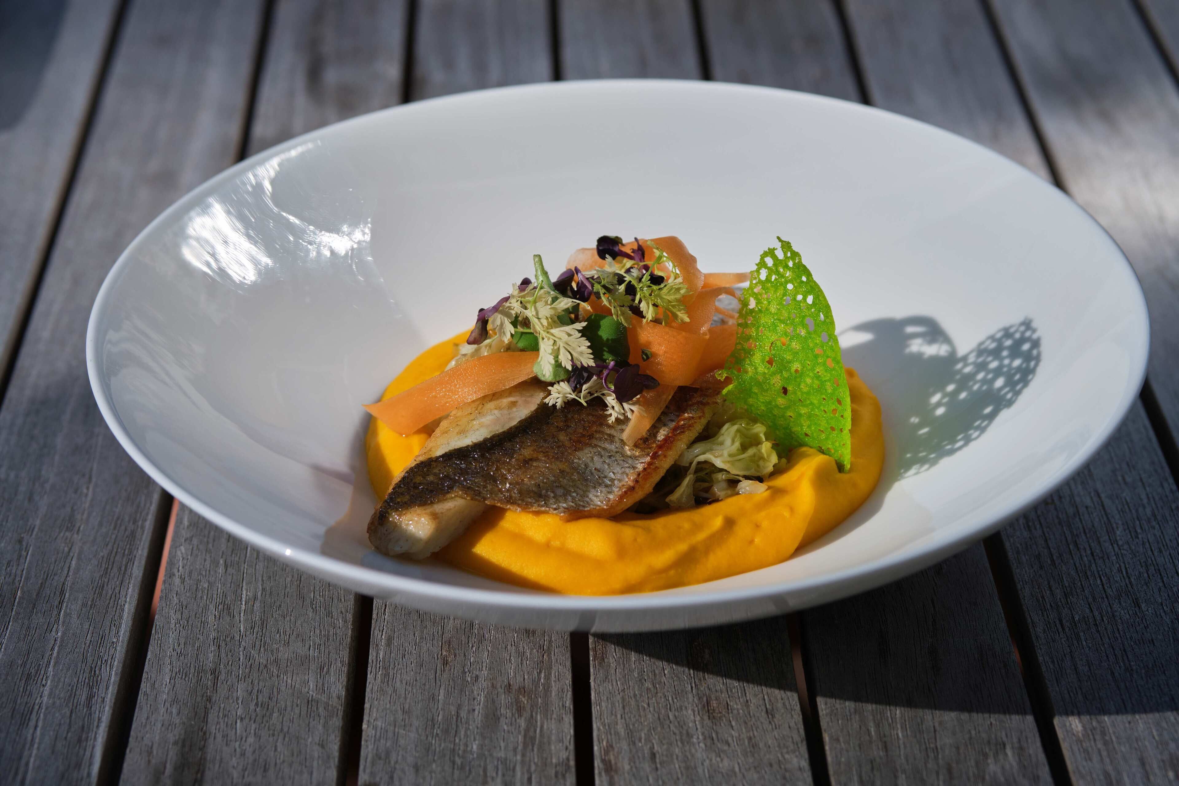 Um prato branco com peixe, legumes e uma folha verde sobre uma mesa de madeira.