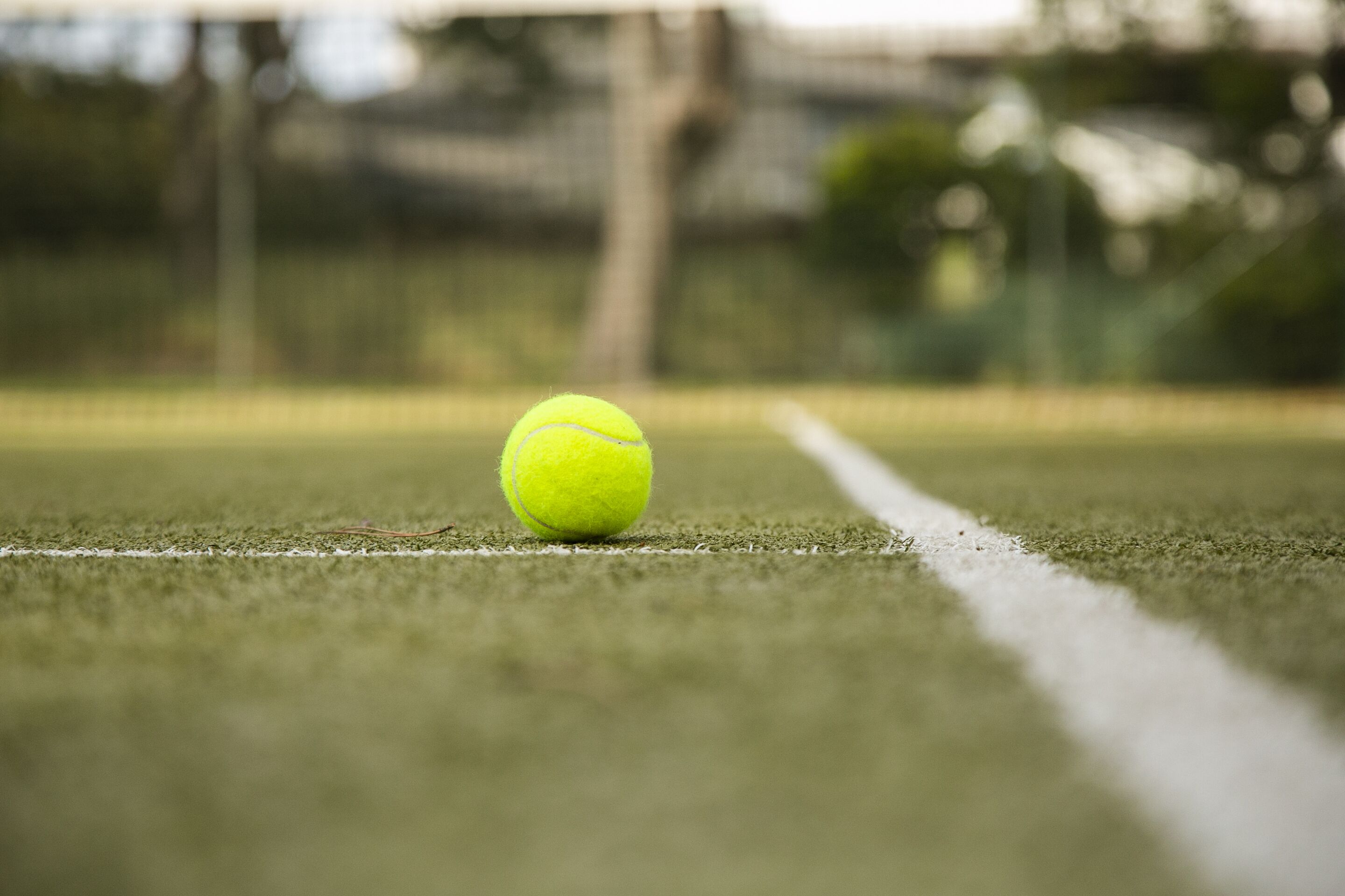 Una pelota de tenis sobre una cancha de césped con una línea blanca.