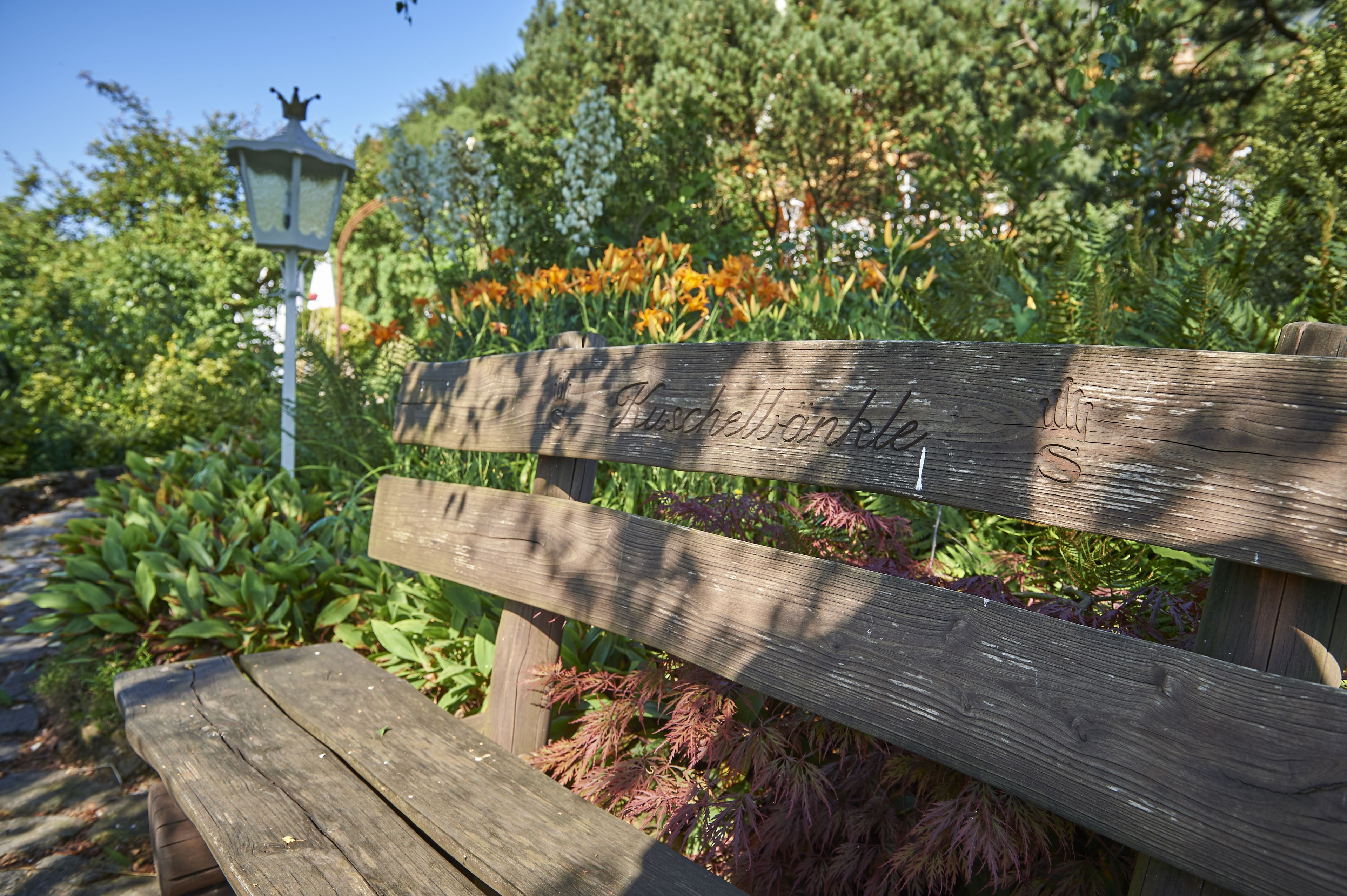 Een houten bankje met gegraveerde tekst, omringd door weelderige begroeiing en bloemen.