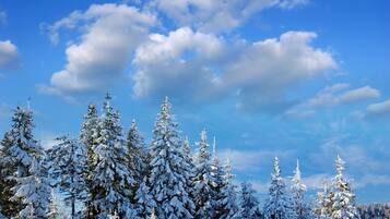 A snowy landscape with evergreen trees and a clear blue sky.