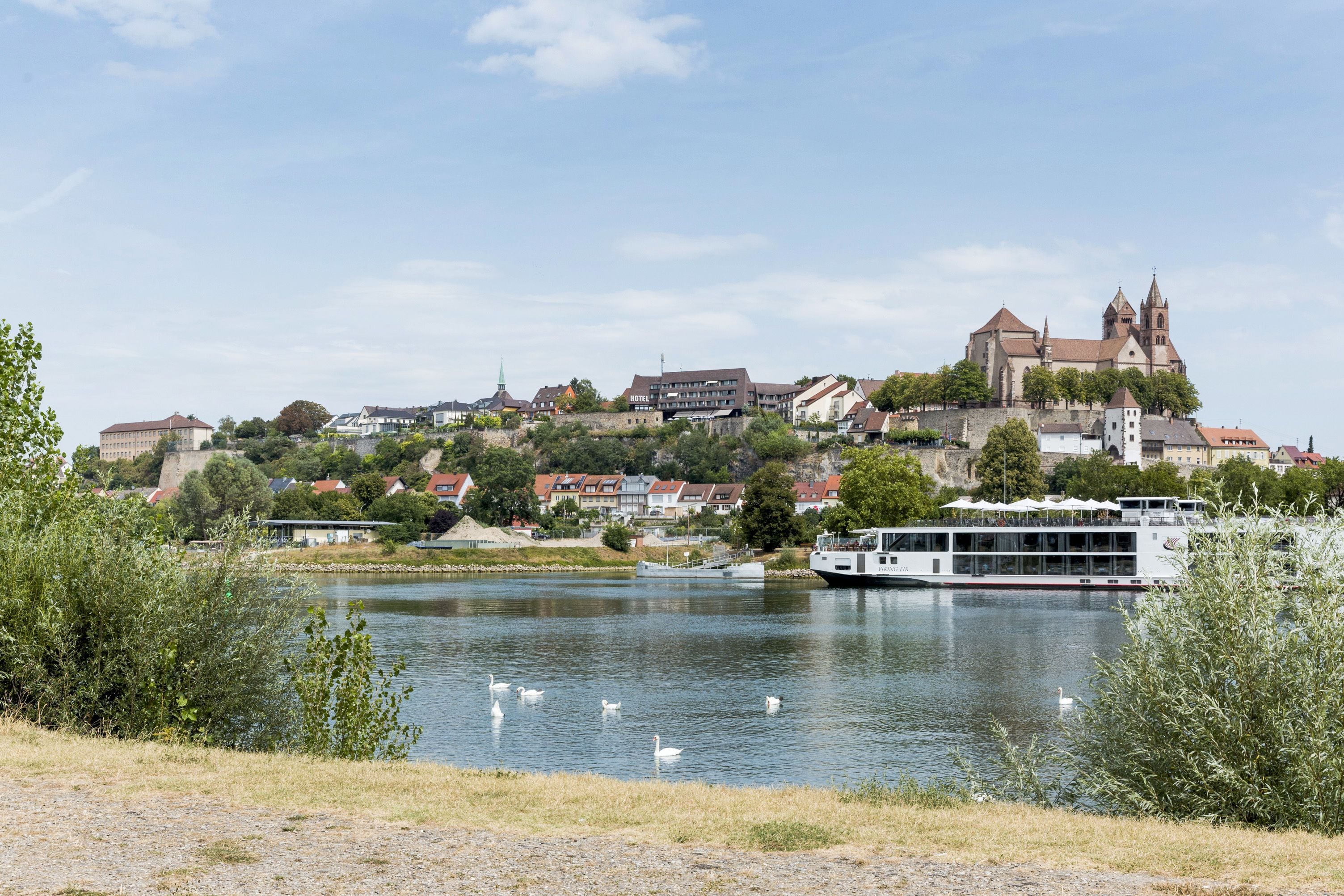 A river with swans, a boat, and a historic building with a tower.