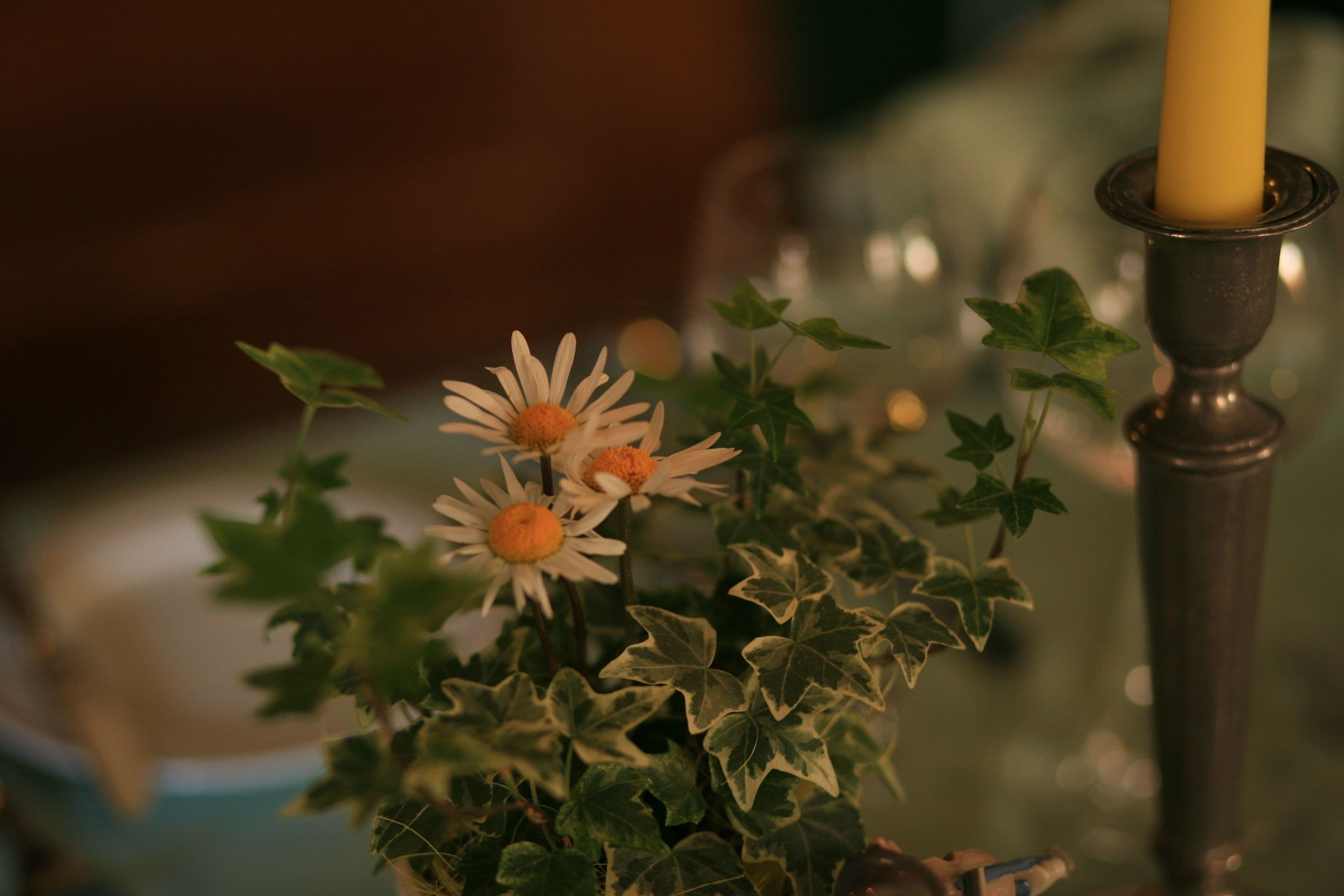 breakfast, lunch, dinner served; regional cuisine