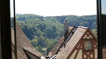 A view of traditional half-timbered houses with steeply pitched roofs and a forested hillside in the background.