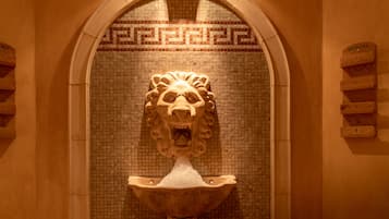 A lion head sculpture mounted above a wooden basin.