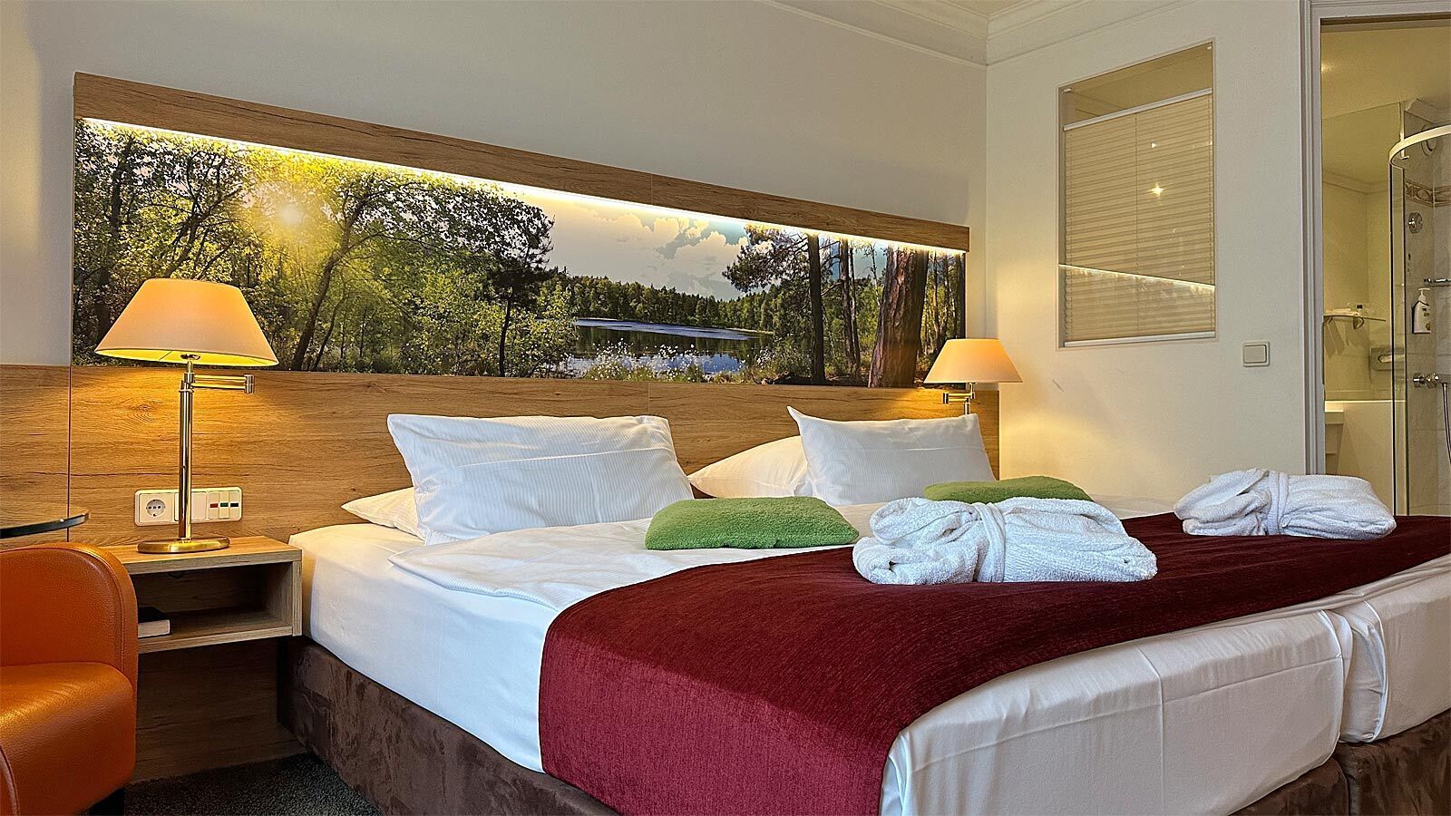 Double Room (Wellness Relax) | Minibar, in-room safe, desk, blackout curtains