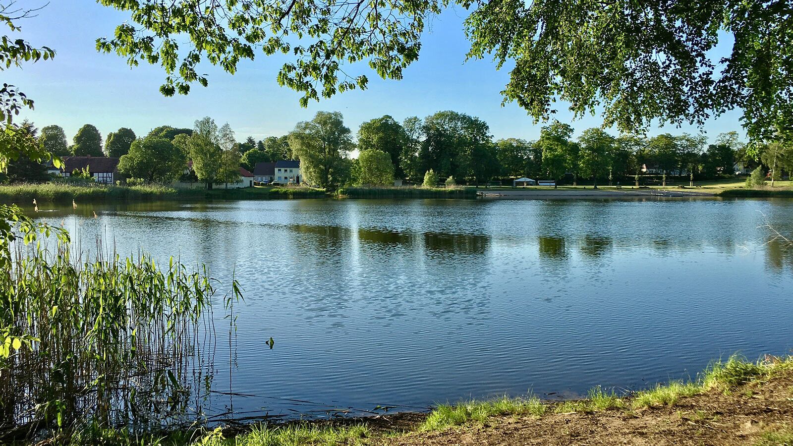 Photo - Hotel & SPA Sommerfeld - Adults Only