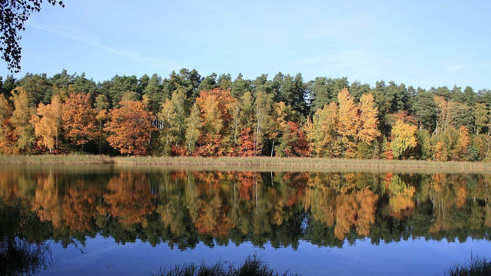 Photo - Hotel & SPA Sommerfeld - Adults Only