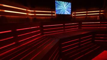 A theater with tiered seating and a large screen at the front.