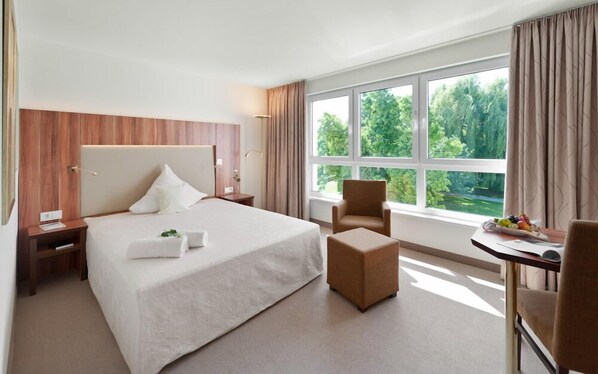 Superior Single Room