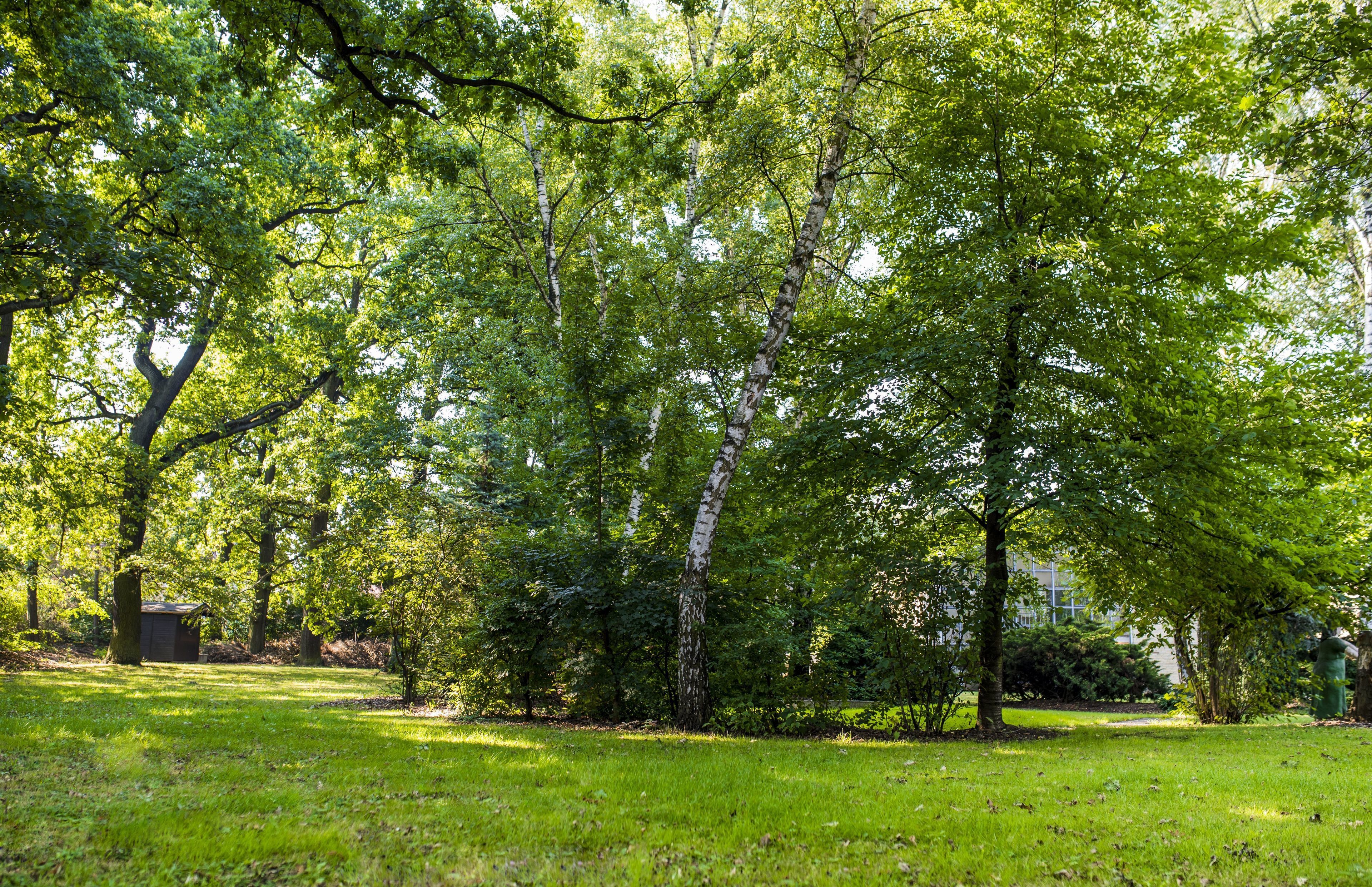 Utendørs bankettområde