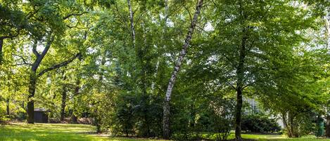 Un parc avec de grands arbres et un petit abri.