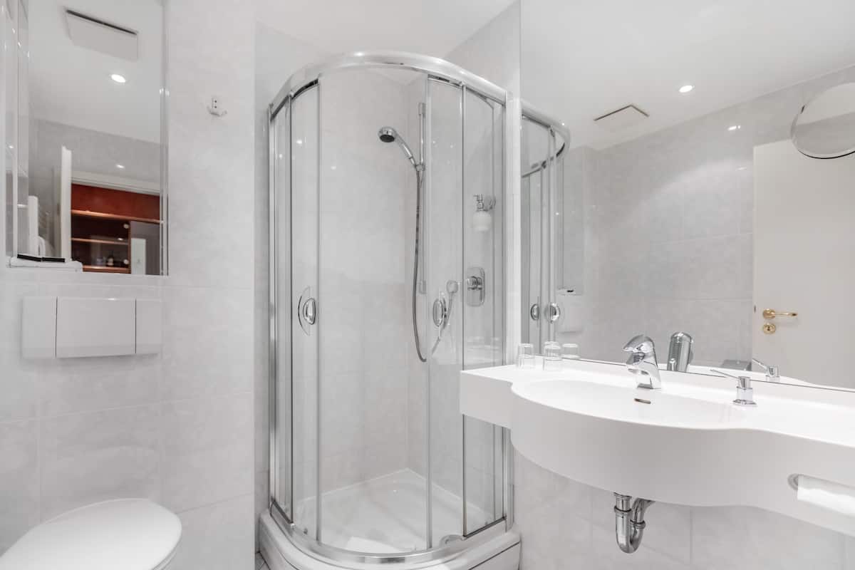 shower, free toiletries, hair dryer, towels