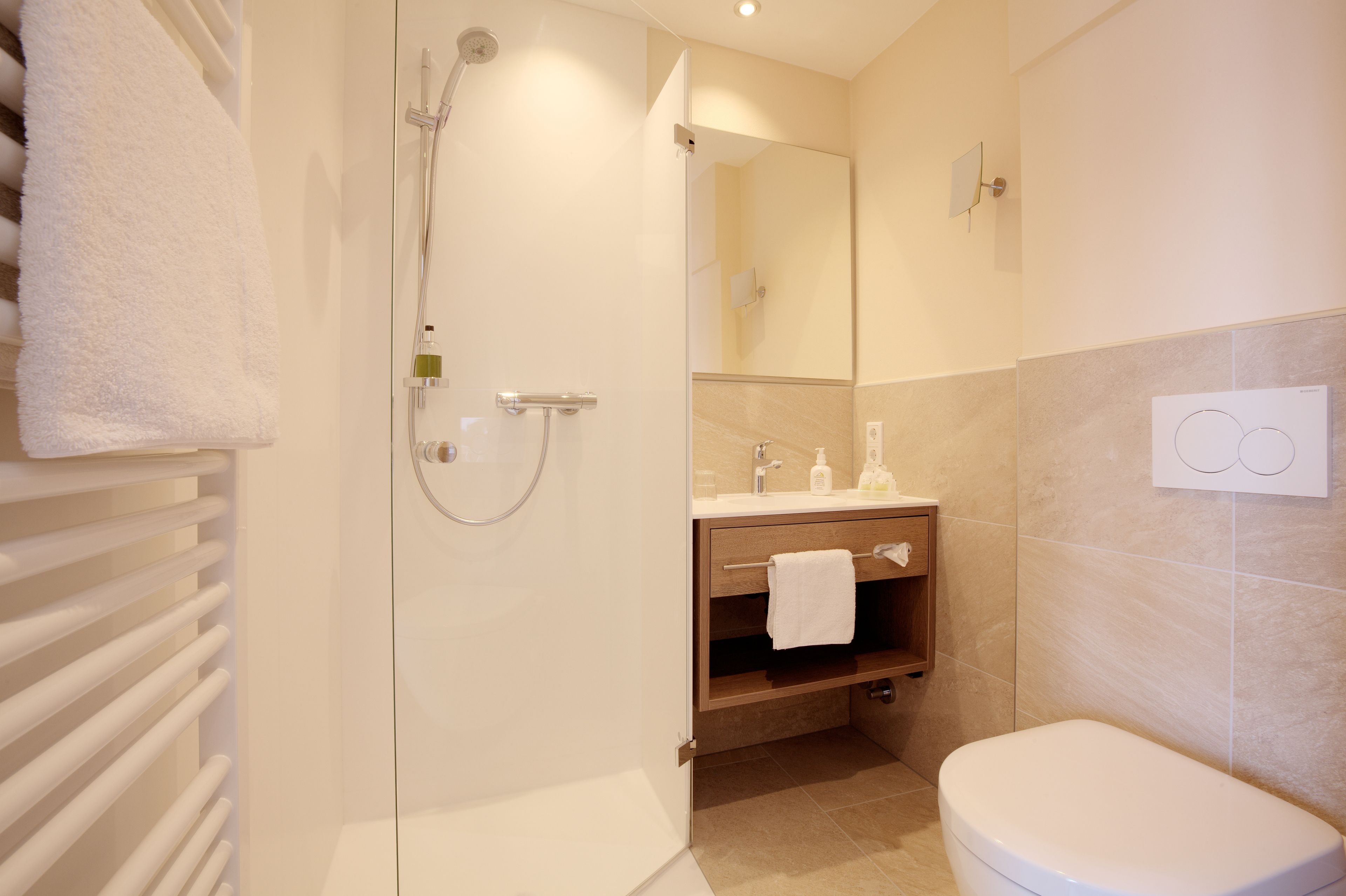 A modern bathroom with a walk-in shower, a toilet, and a vanity with a mirror.