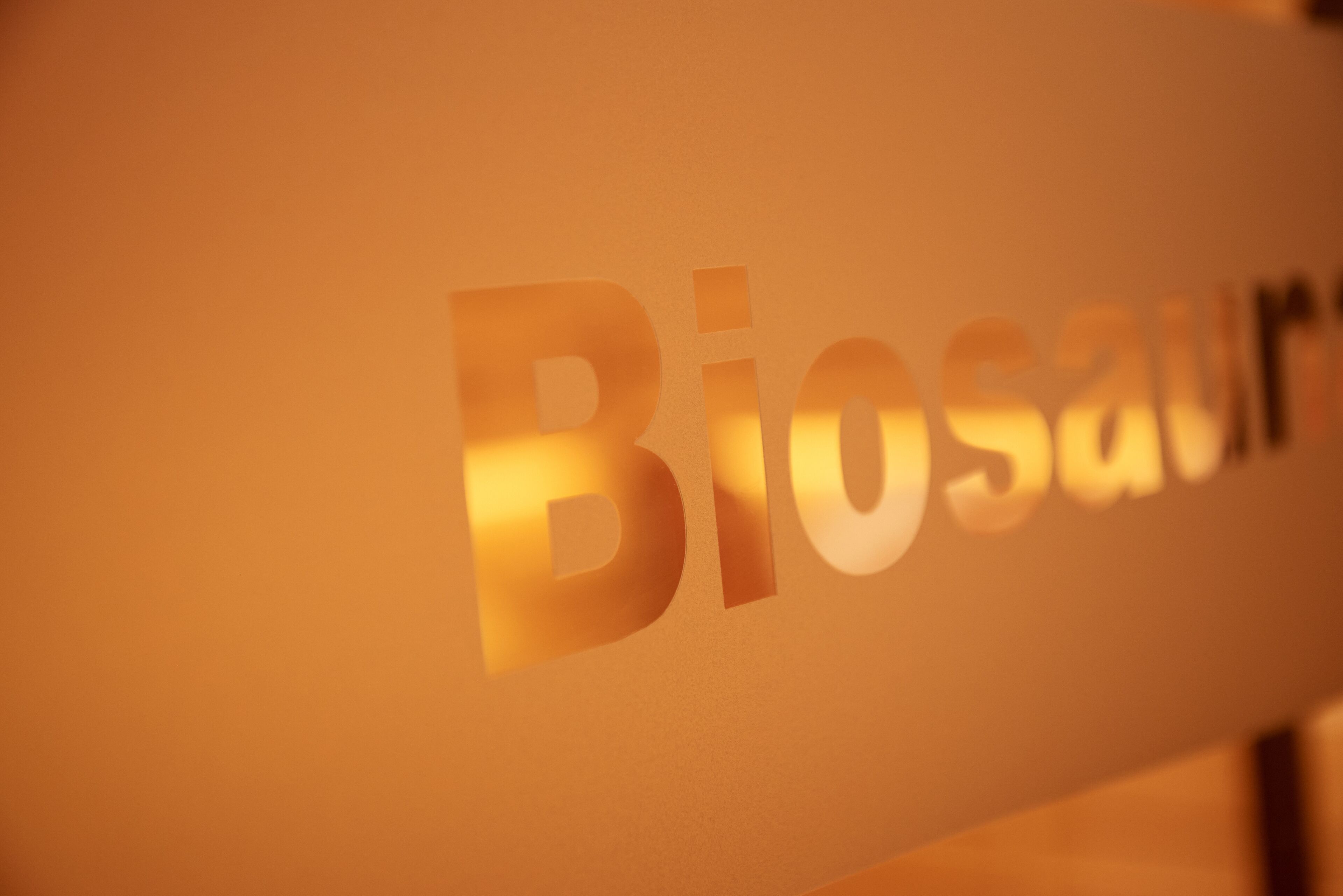 sauna, steam room, hot stone massages, 1 treatment room, massages