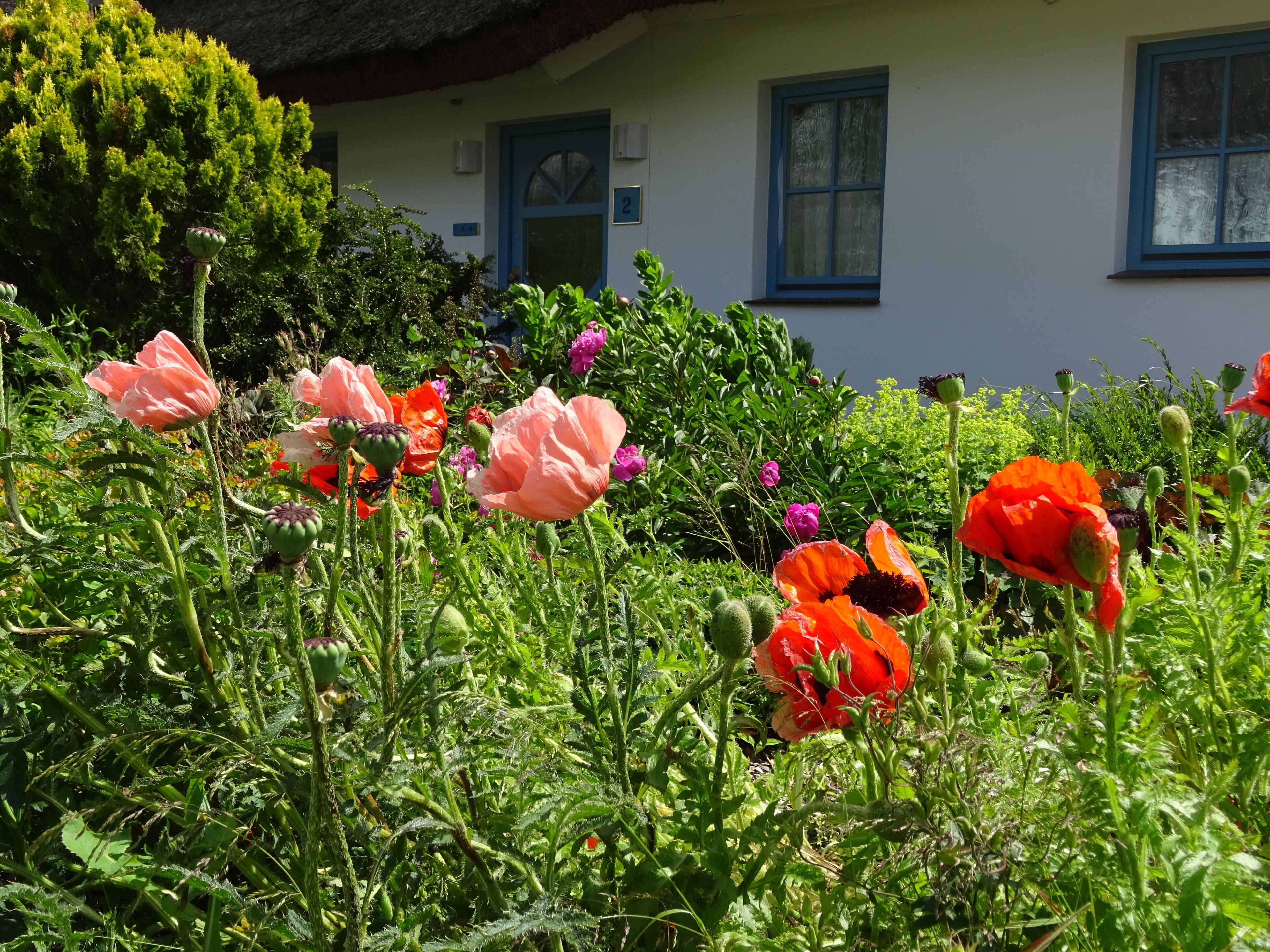 Un edifici blanc amb detalls blaus i finestres numerades, envoltat d'un jardí ple de flors diverses.