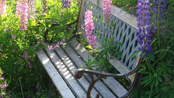 A wooden bench with metal armrests, surrounded by dense green foliage and purple flowers.