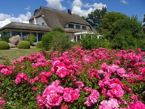 Exterior - Landhotel Kastanienallee (Putbus)