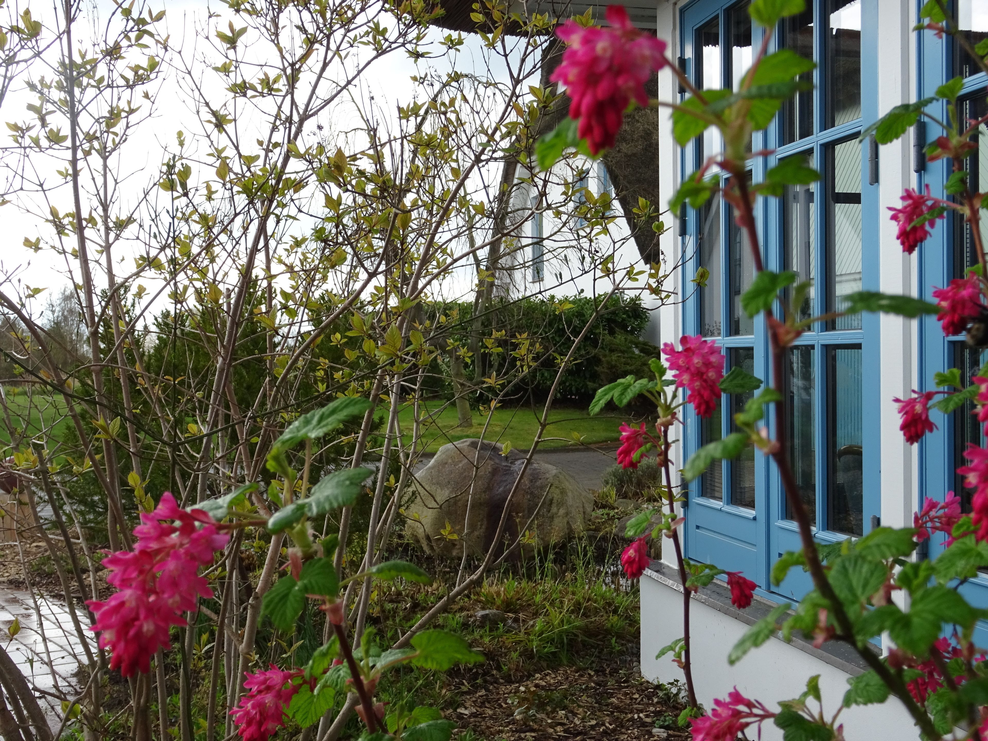 Ein Gebäude mit blauen Fensterrahmen, umgeben von Grünflächen und blühenden Pflanzen.