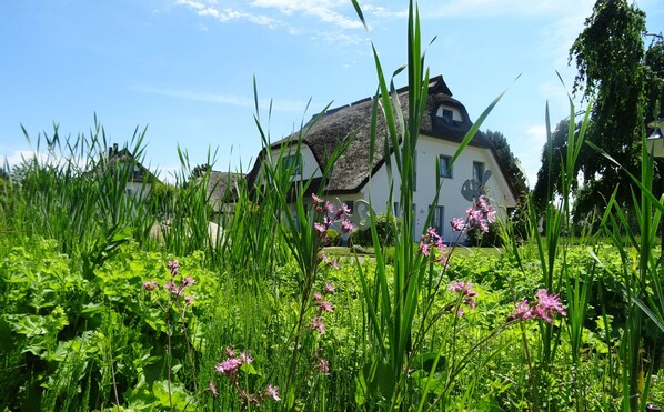 A house with a thatched roof, surrounded by lush greenery and pink flowers.