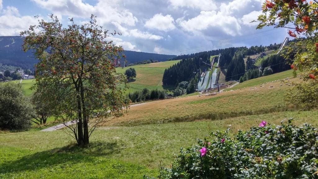 Ländliche Landschaft mit einem Baum, einem Feld und einem fernen Wasserfall.