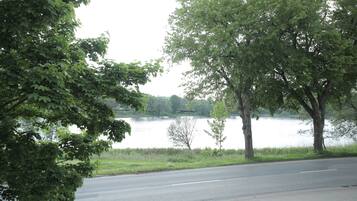 A road with trees and a body of water in the background.