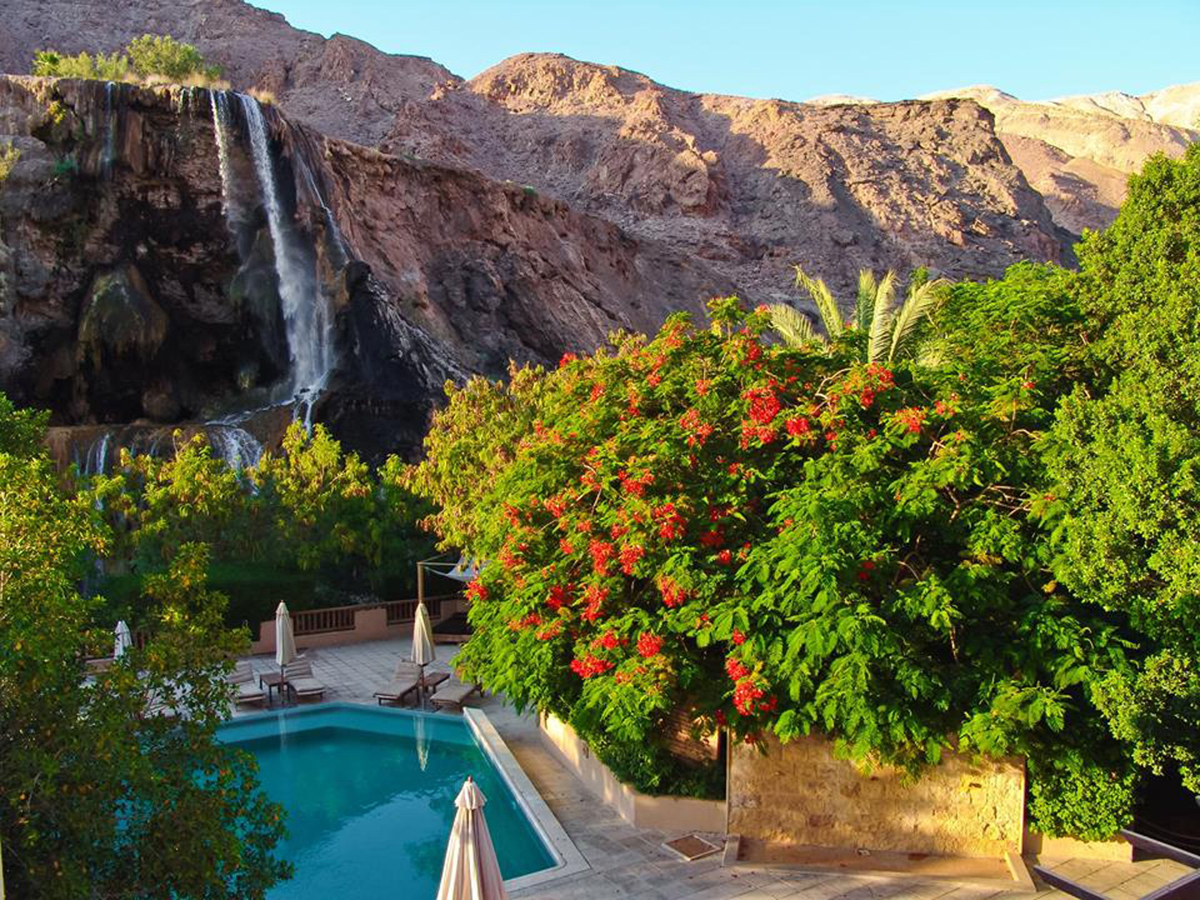 outdoor pool, pool loungers