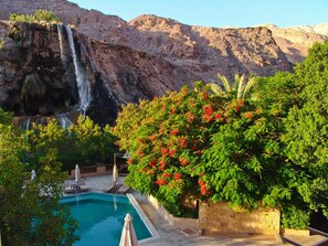 A pool area with a waterfall backdrop, surrounded by lush greenery and red flowers.