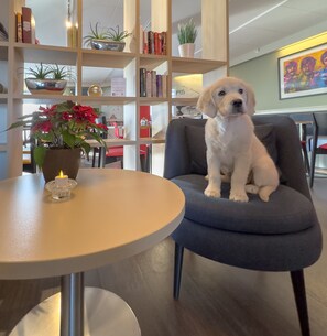 Lobby sitting area - Good Morning Lund (Lund)