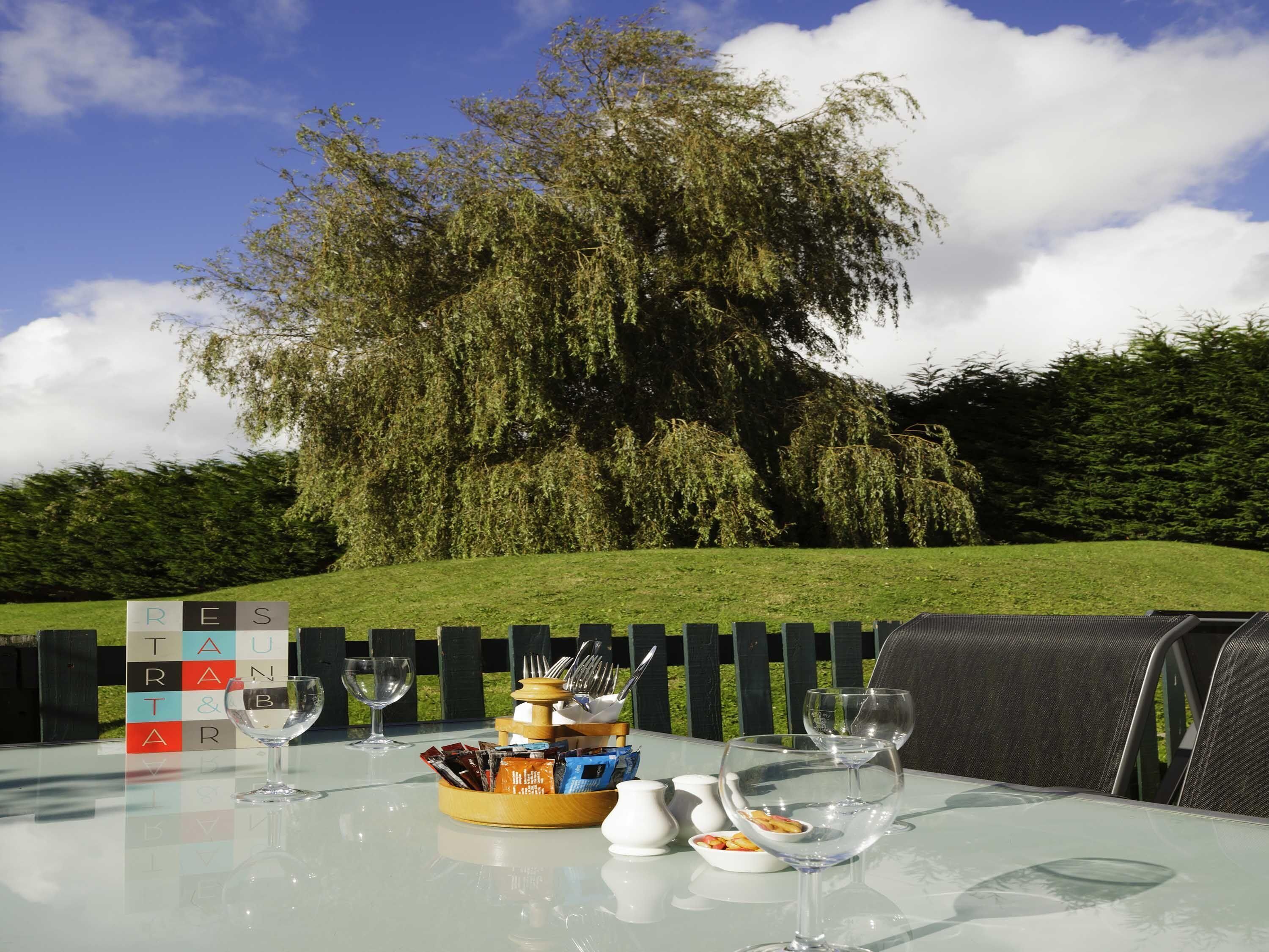 Une table à manger extérieure, placée de manière à offrir une vue sur un grand arbre et une clôture.