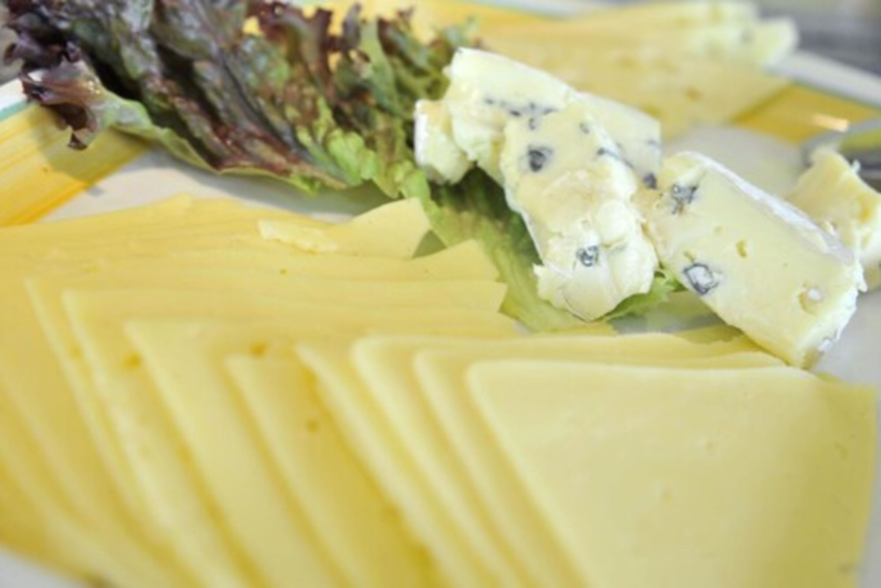 Photo - Plaza Inn Berlin Süd Ludwigsfelde