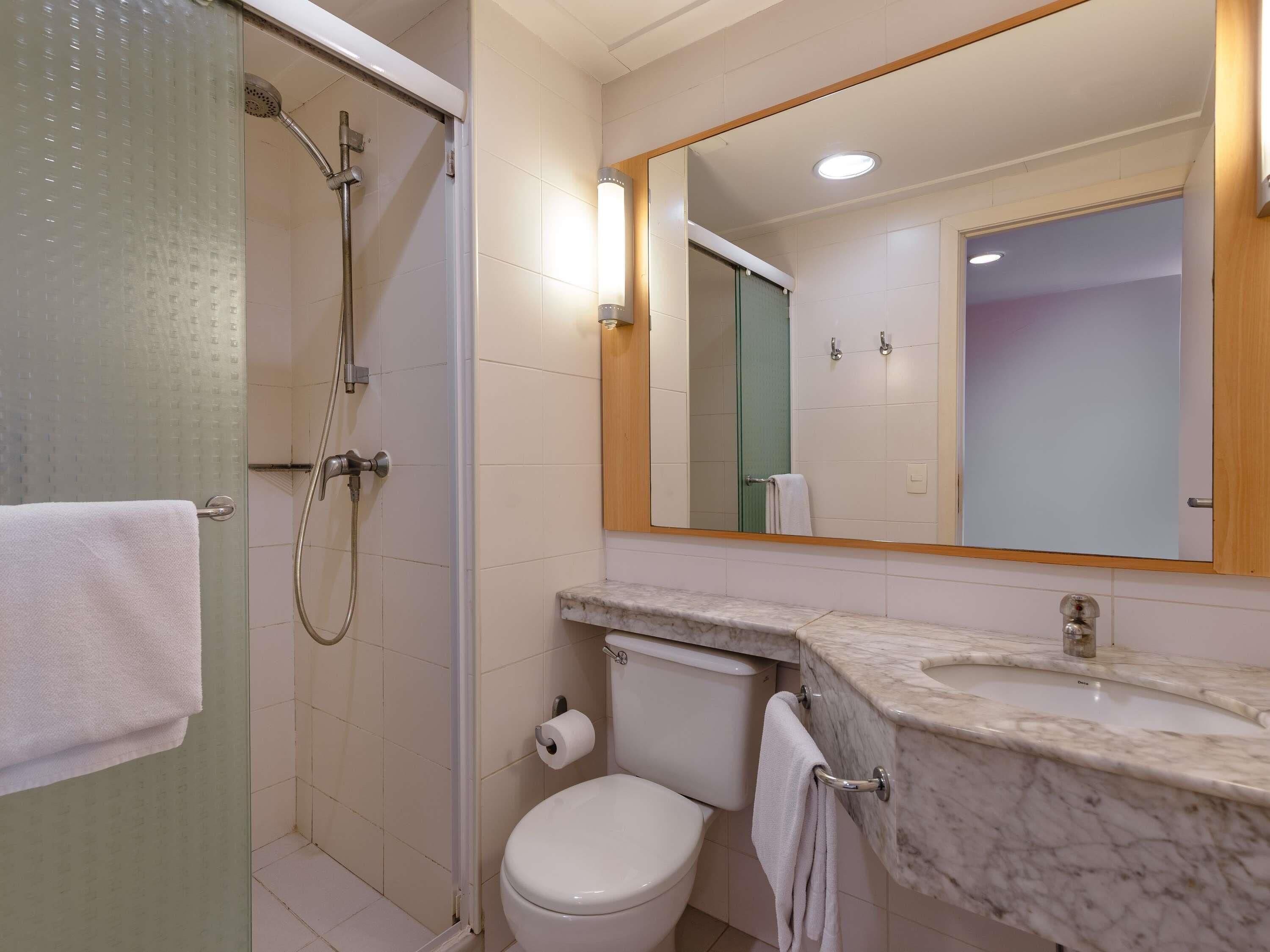 A bathroom with a shower, toilet, sink, and a mirror.