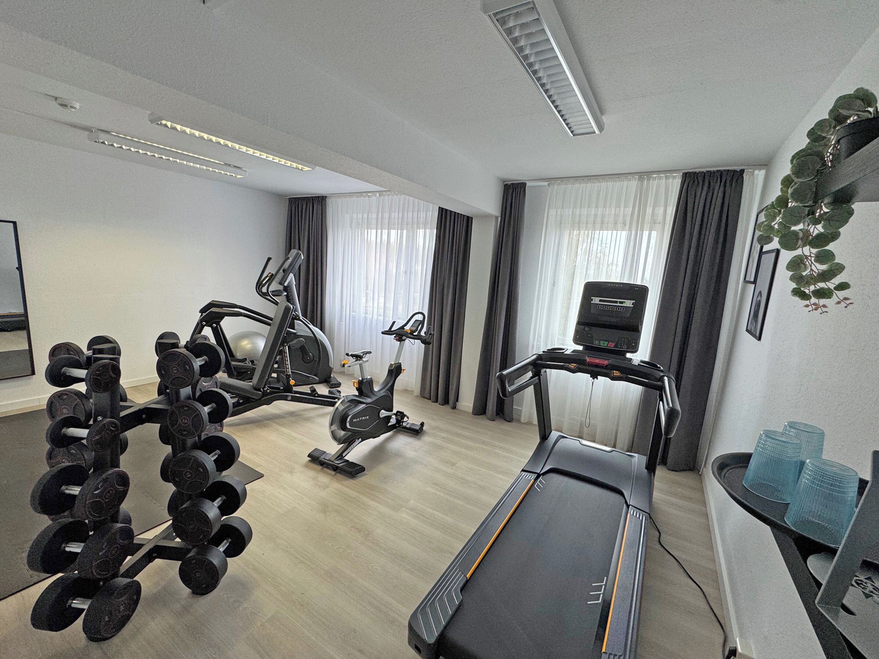 A modern home gym with a treadmill, elliptical, and dumbbells.