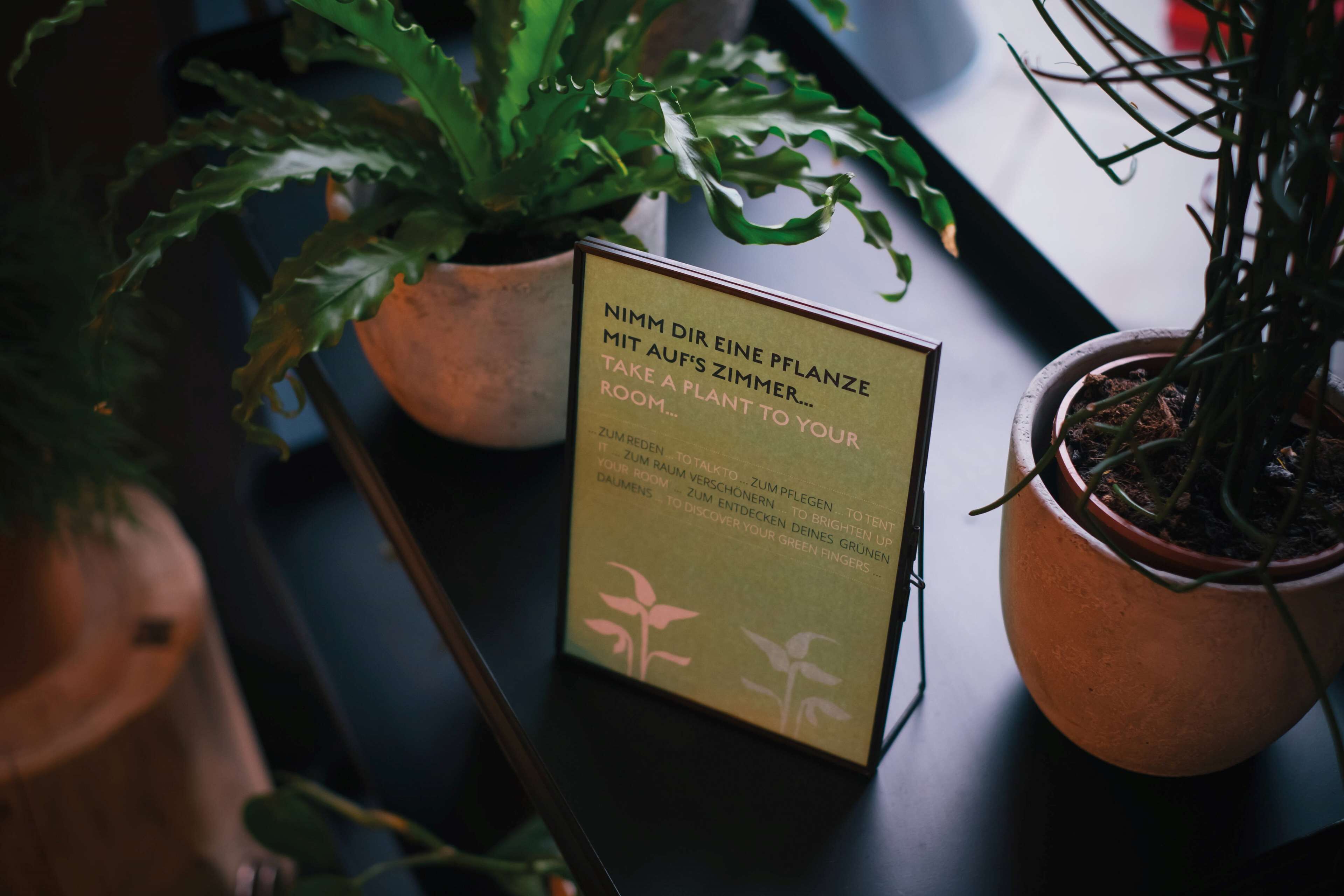 Une plante en pot et un panneau avec du texte dans une langue étrangère.