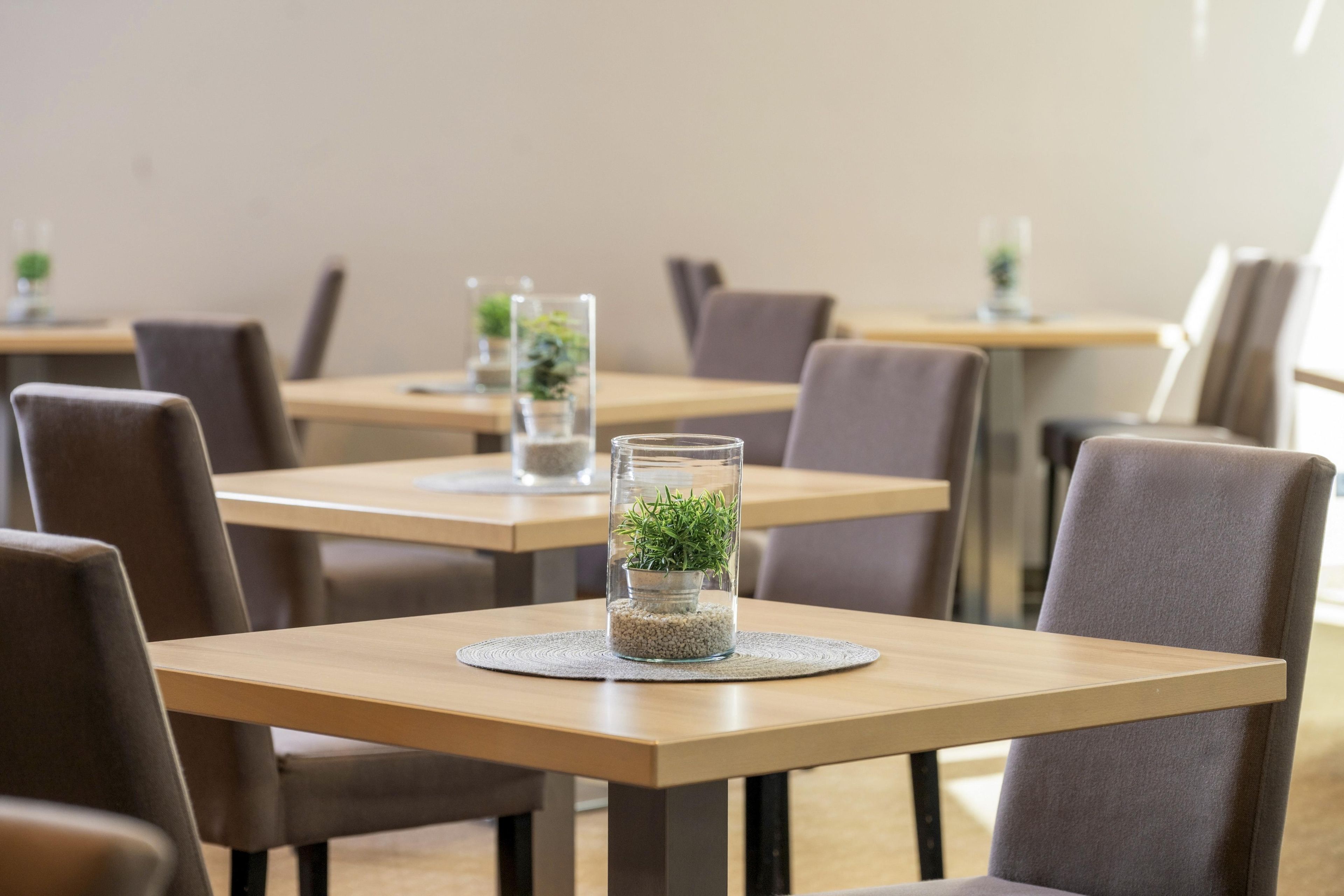 A dining area with square tables and chairs, each with a glass container holding a plant.