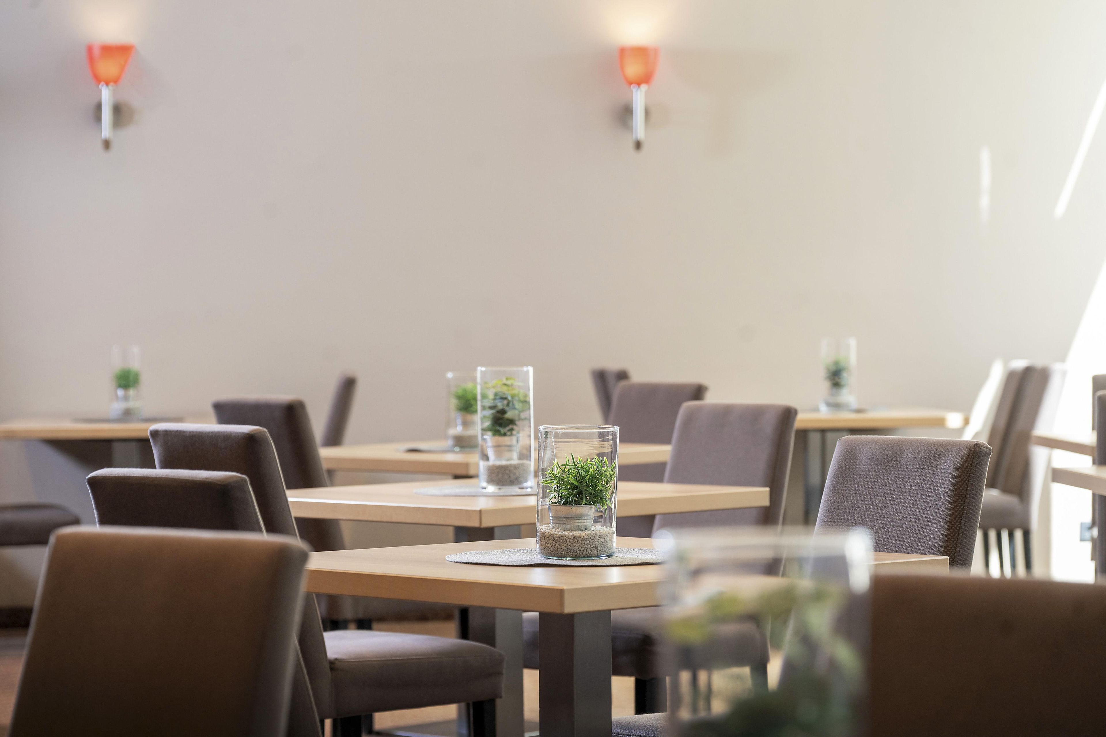 Un restaurant amb taules preparades per dinar, amb suportants de vela de vidre i petites plantes en testos.