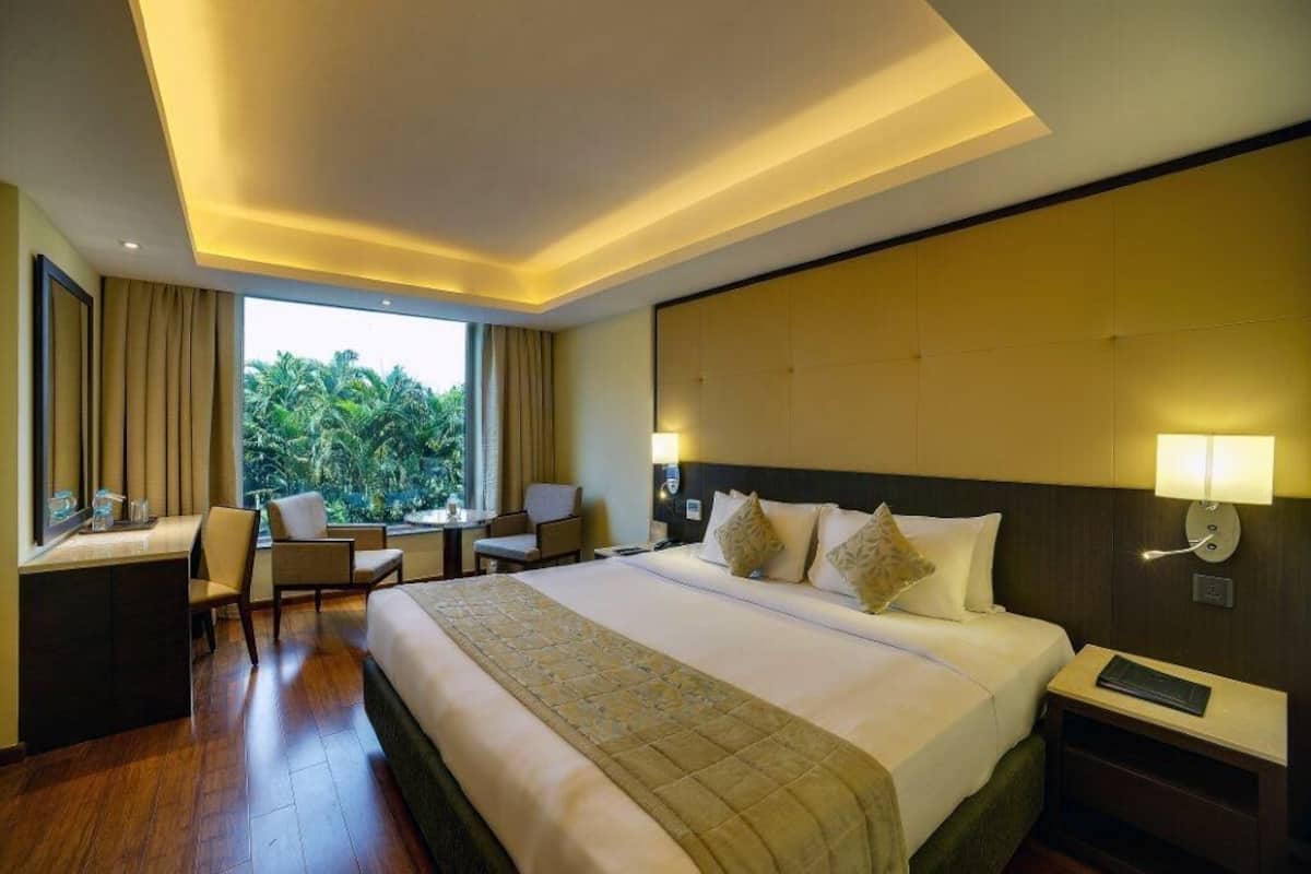 Club Room | Pemandangan taman