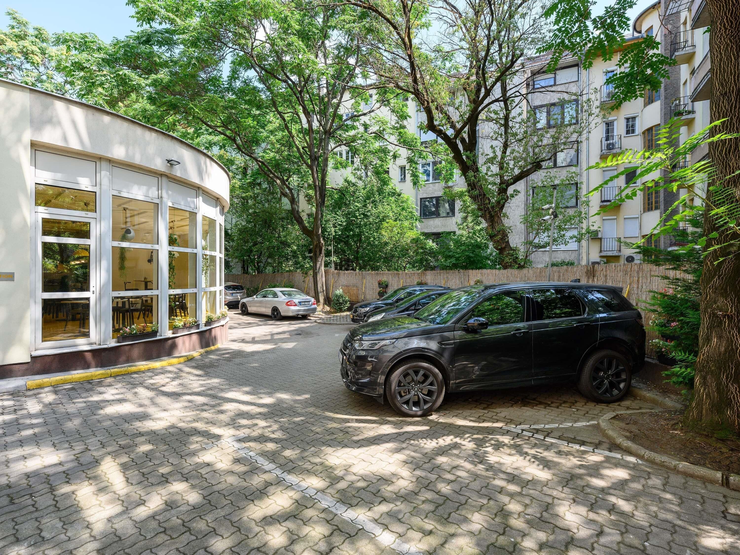 A paved driveway with parked cars, a building with large windows, and trees.