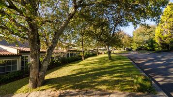 A residential street with houses, trees, and a paved sidewalk.