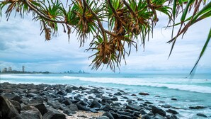 A rocky beach with palm trees and a city skyline in the distance. - Sofitel Gold Coast Broadbeach (Broadbeach)