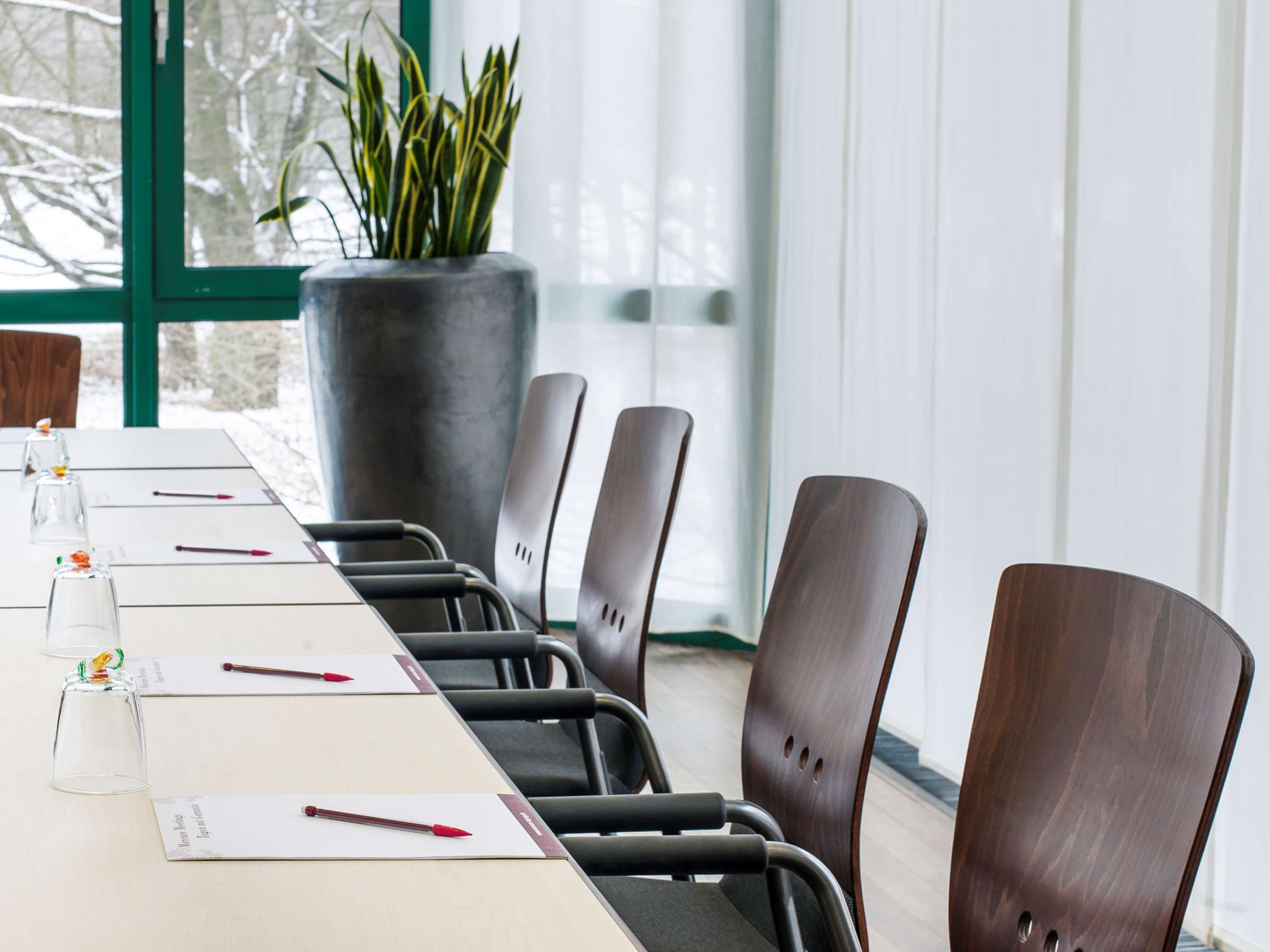 Un salón de conferencias con una larga mesa, seis sillas y una planta en maceta.