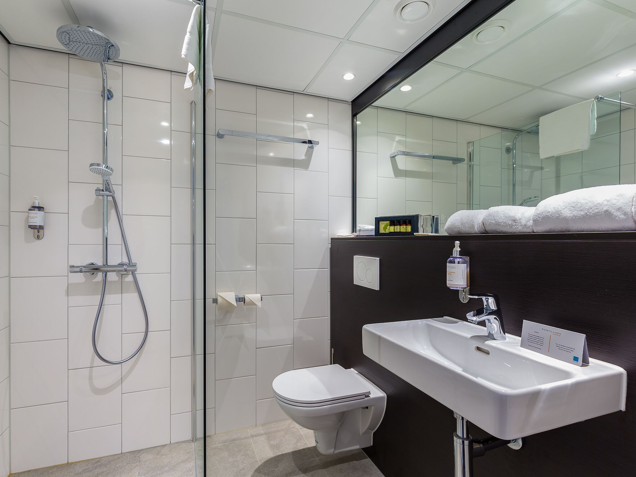 A modern bathroom with a glass shower enclosure, a white toilet, and a sink with a mirror above.