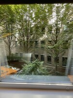 Vista cortile