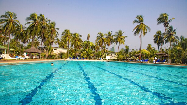Une piscine à l’eau d’un bleu cristallin, entourée de palmiers et de chaises longues.
