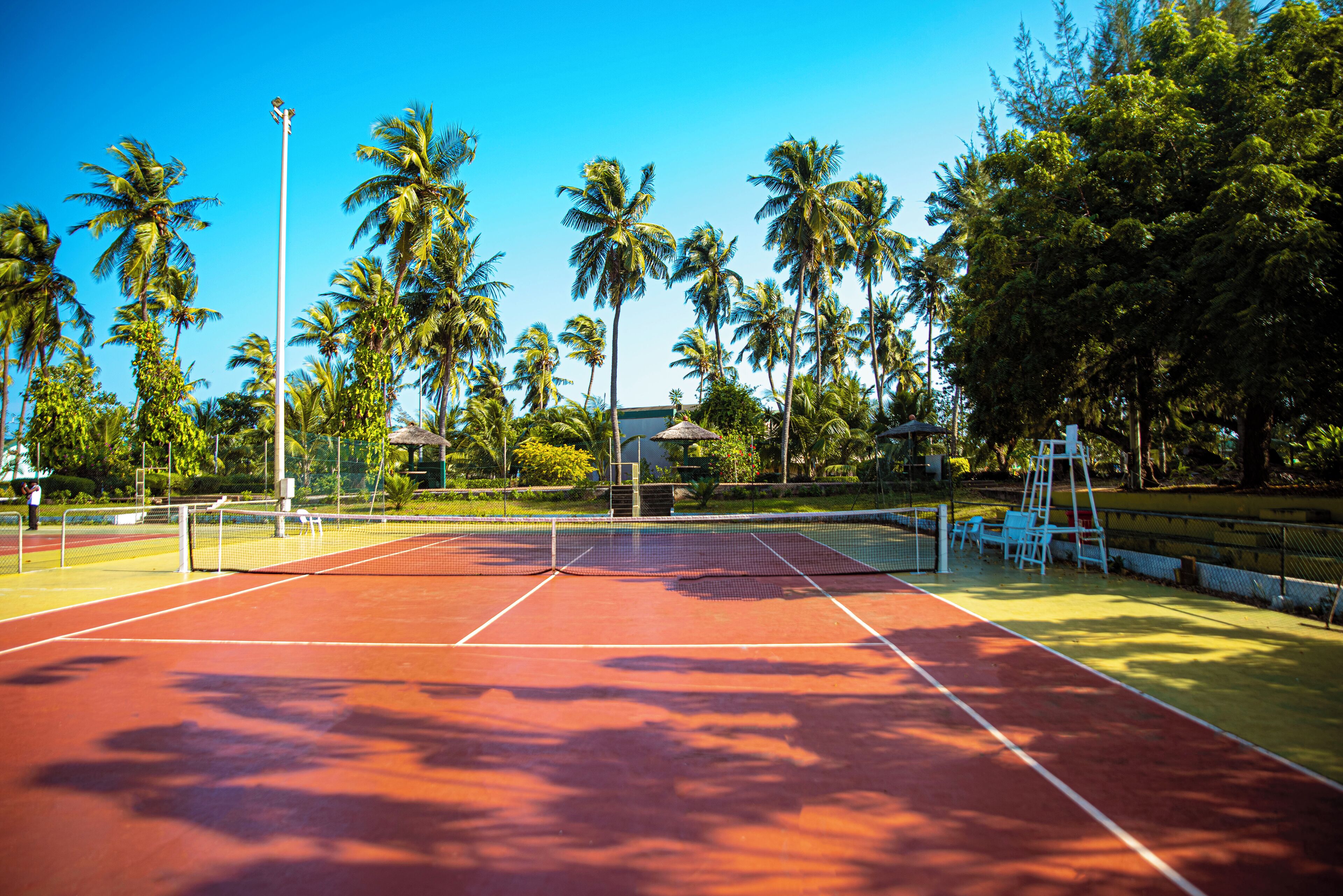 Un campo da tennis con rete, circondato da palme e vegetazione.