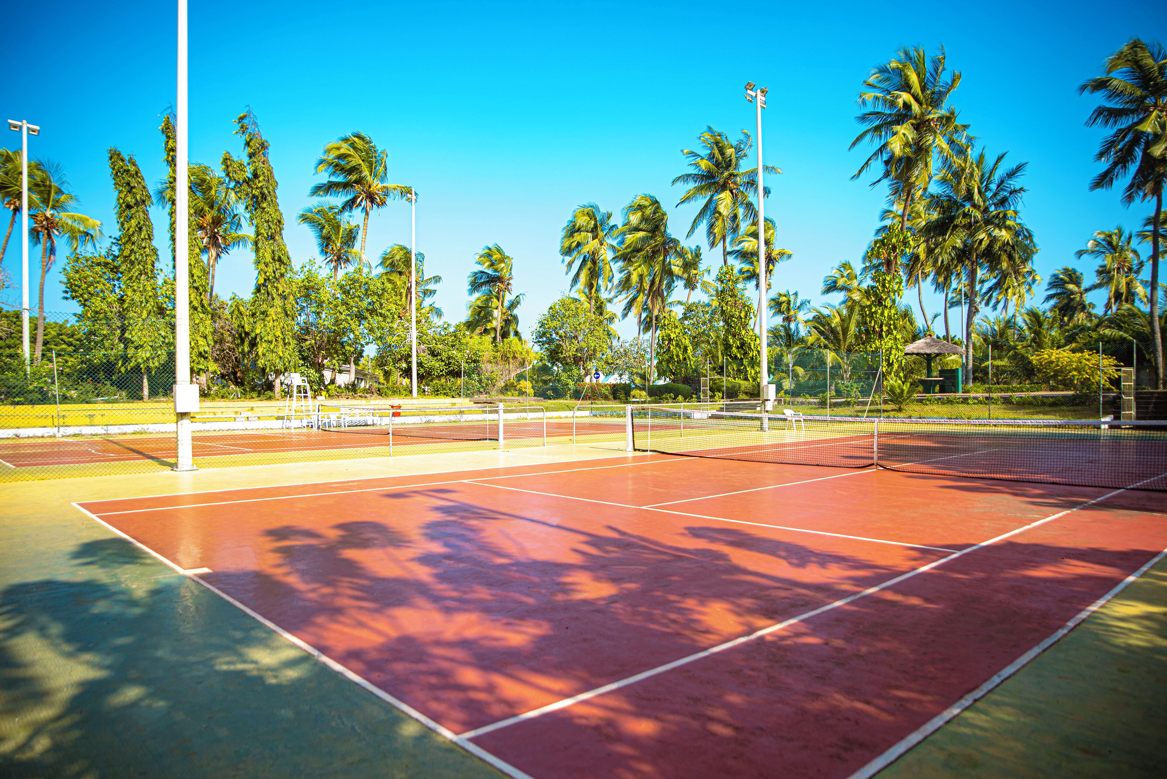 Een tennisbaan met een net, omgeven door palmbomen en een heldere lucht.