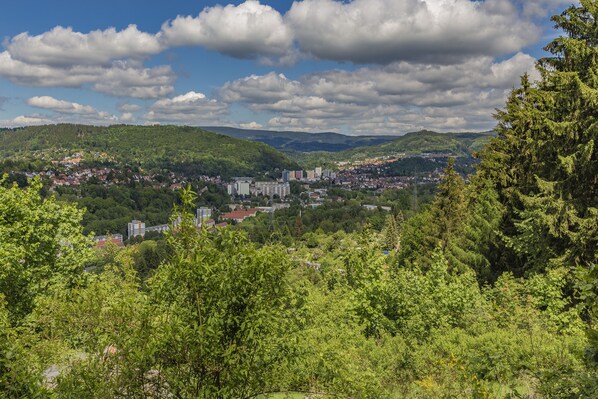 A panoramic view of a town nestled in a valley with dense greenery and hills in the background.