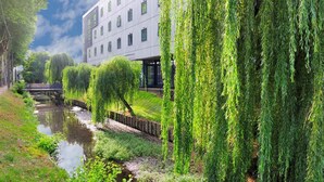 Un bâtiment moderne, avec une rivière en contrebas, entouré d’une végétation luxuriante et sous un ciel dégagé.