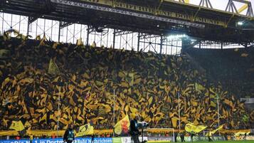 Sportbereich