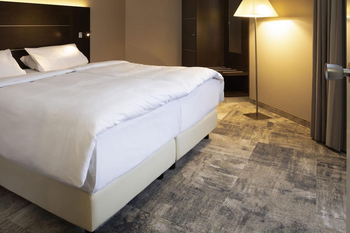 Suite estándar, 1 cama matrimonial y sofá cama (separate living and sleeping areas) | Ropa de cama hipoalergénica y caja de seguridad en la habitación
